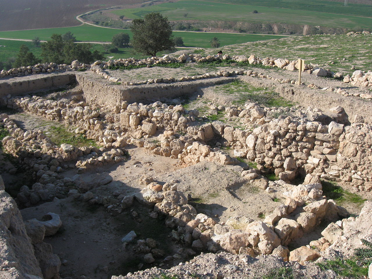 434592608_756690816566988_5727023306870581217_n