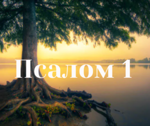 Теологія Тіла