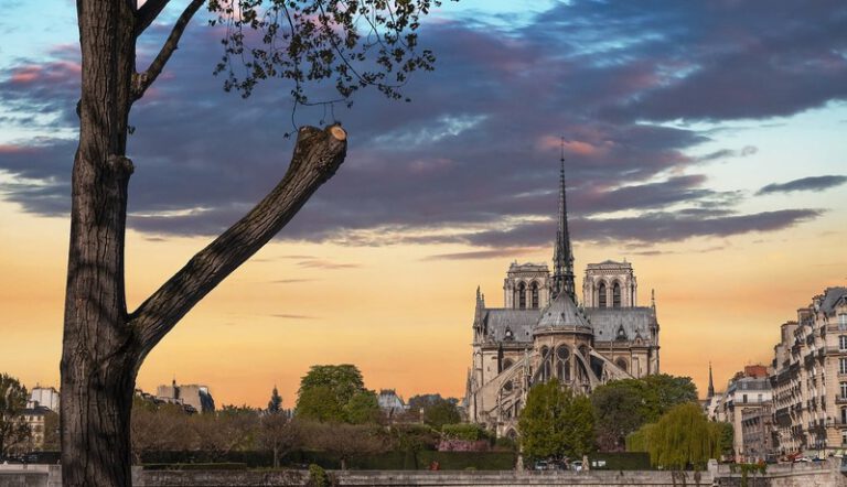 cathedral-6885497_1280-2-768x442
